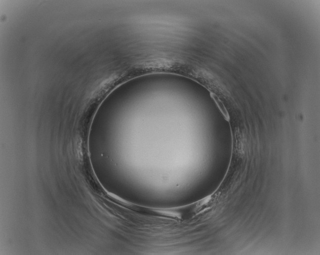 X0000070880692200606231343