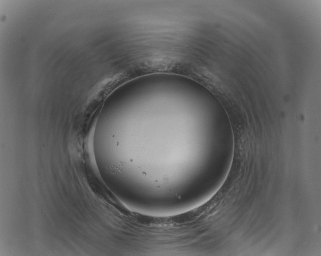 X0000070880693200606231343