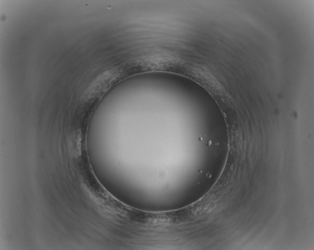 X0000070880694200606231343