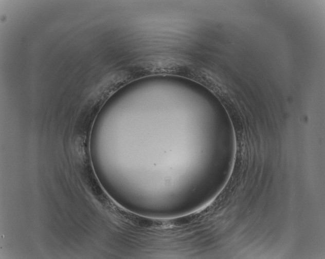 X0000070880695200606231343