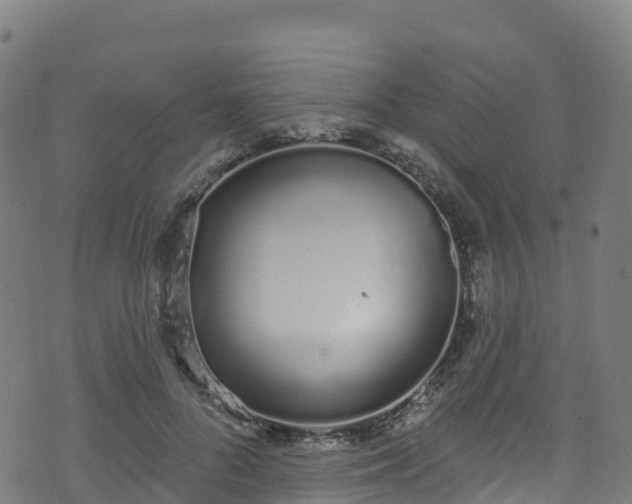 X0000070880696200606231343