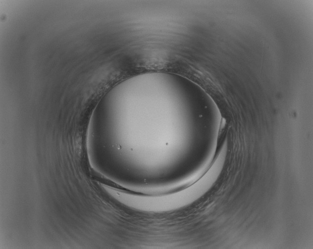 X0000070880697200606231343