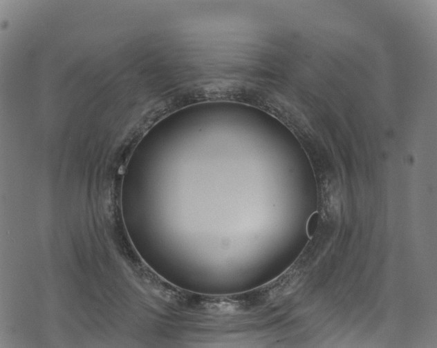 X0000070880698200606231343