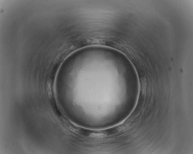 X0000070880699200606231343