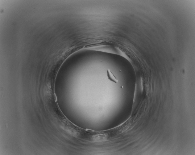 X0000070880700200606231343