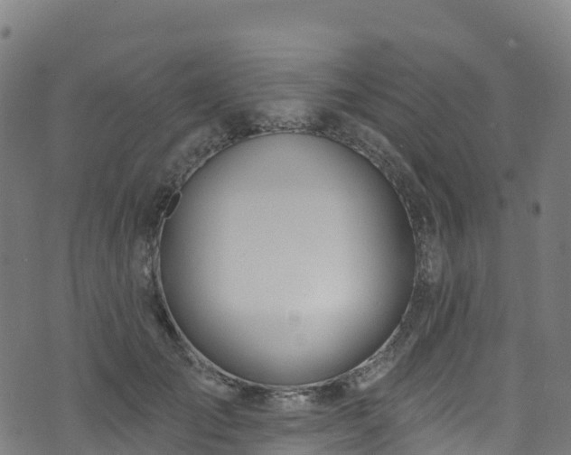 X0000070880701200606231343