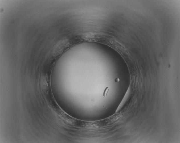 X0000070880702200606231343