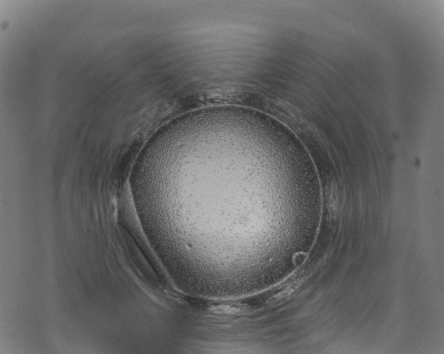 X0000070880703200606231343