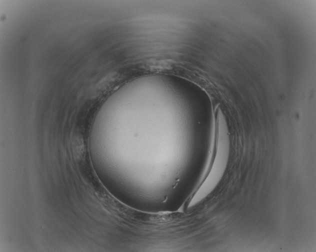 X0000070880704200606231343