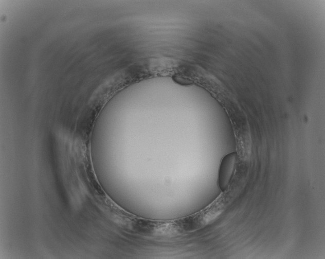 X0000070880705200606231343