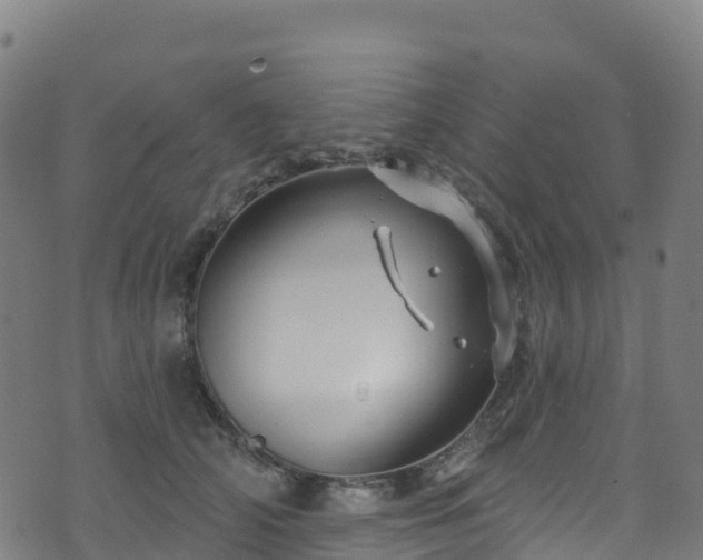 X0000070880706200606231343