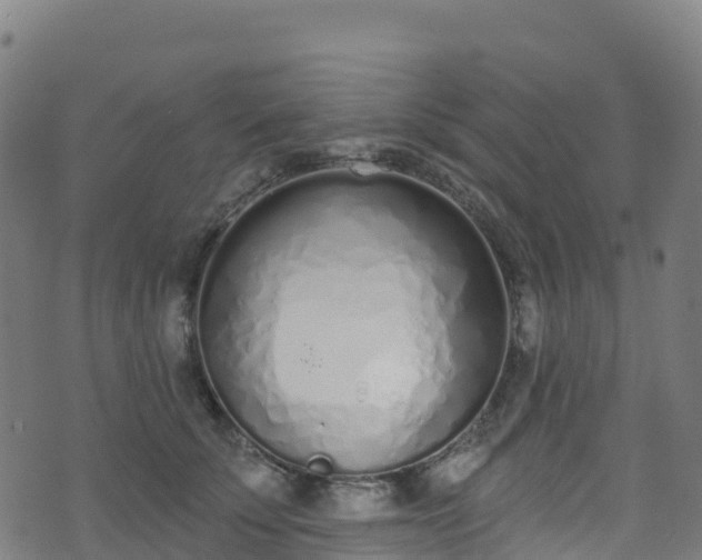 X0000070880707200606231343