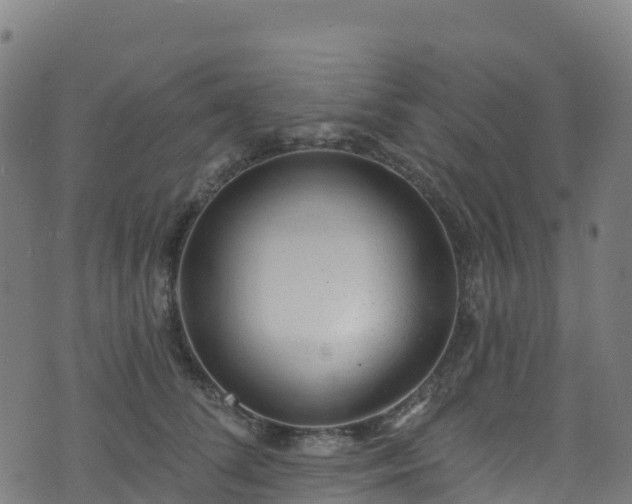 X0000070880708200606231343