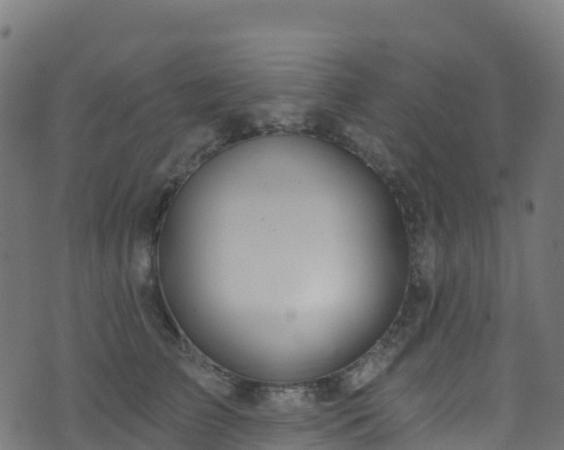 X0000070880709200606231343