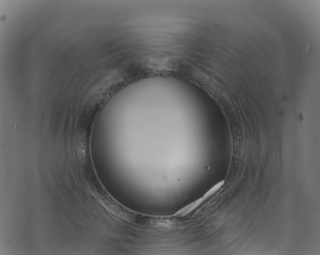 X0000070880710200606231343