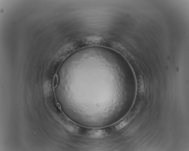 X0000070880711200606231343