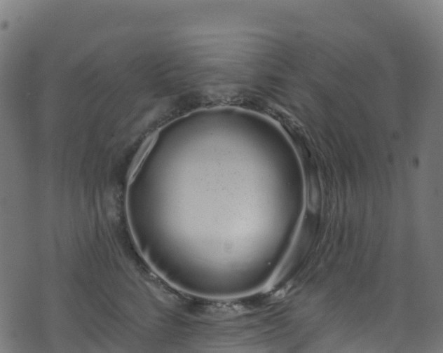 X0000070880712200606231343