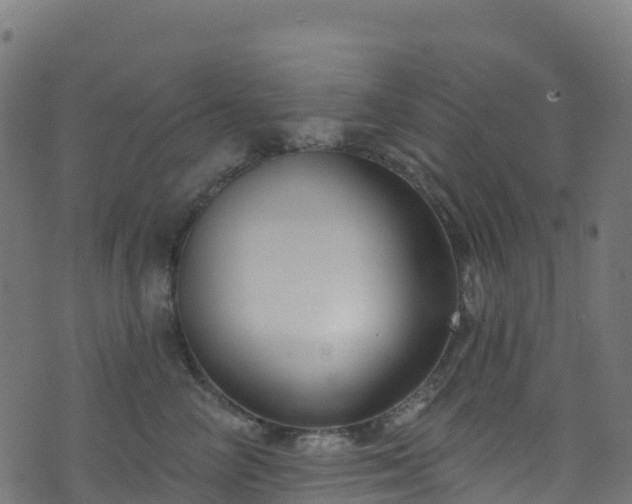 X0000070880714200606231343