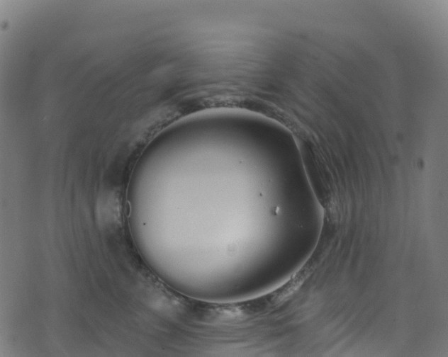 X0000070880715200606231343