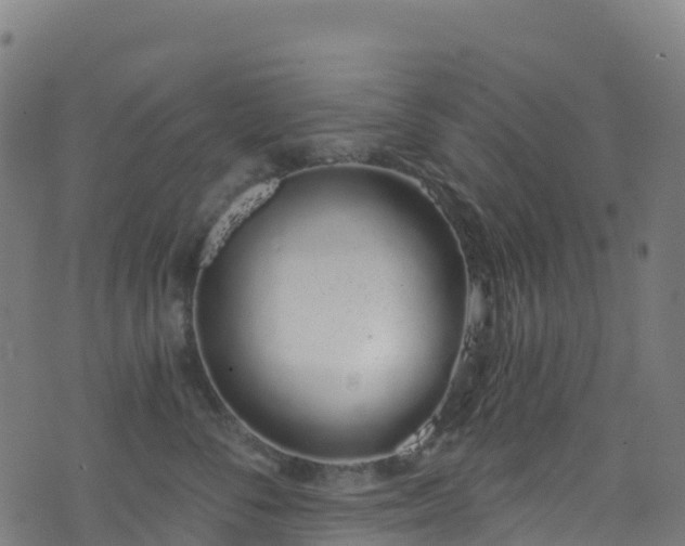 X0000070880716200606231343