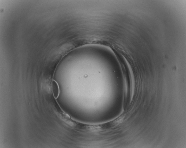 X0000070880719200606231343