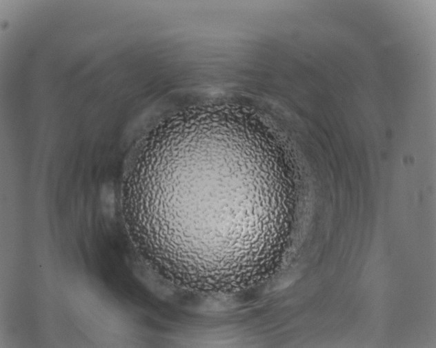 X0000070880720200606231343