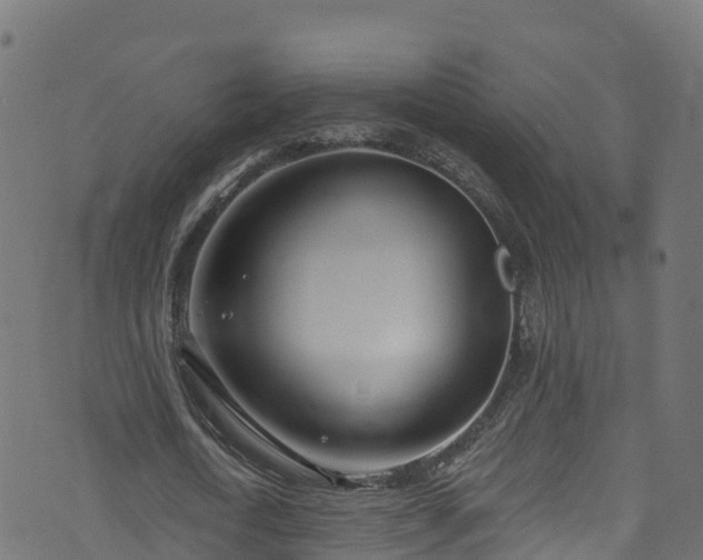 X0000070880722200606231342