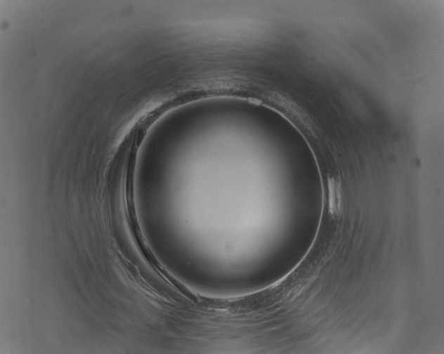 X0000070880723200606231342