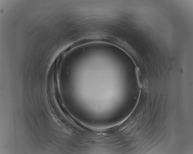 X0000070880724200606231342