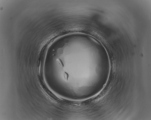 X0000070880725200606231342