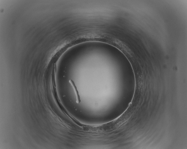 X0000070880727200606231342