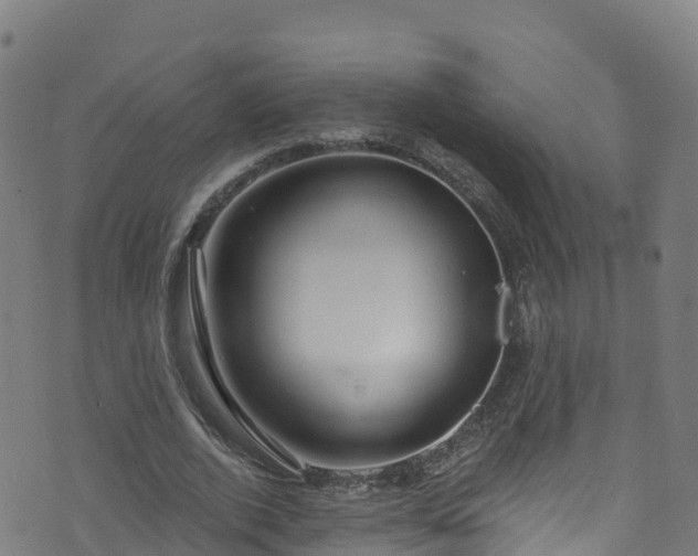 X0000070880728200606231342