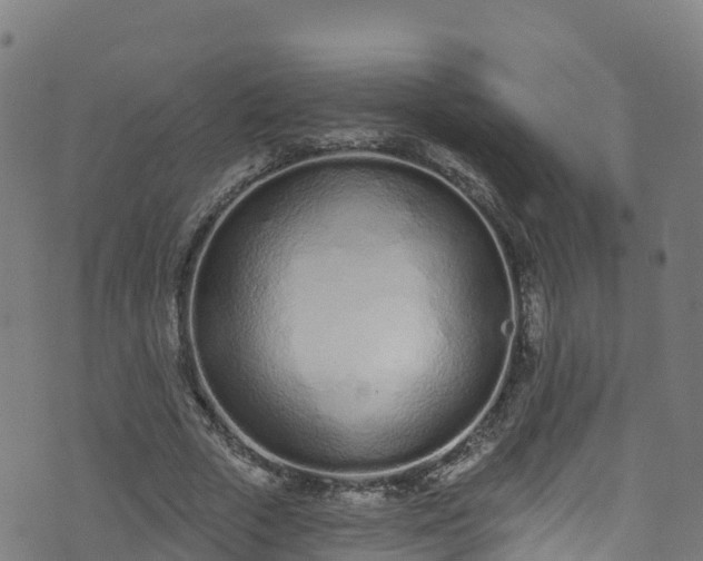 X0000070880729200606231342