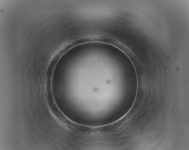 X0000070880730200606231342