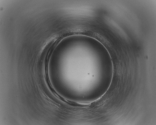 X0000070880731200606231342