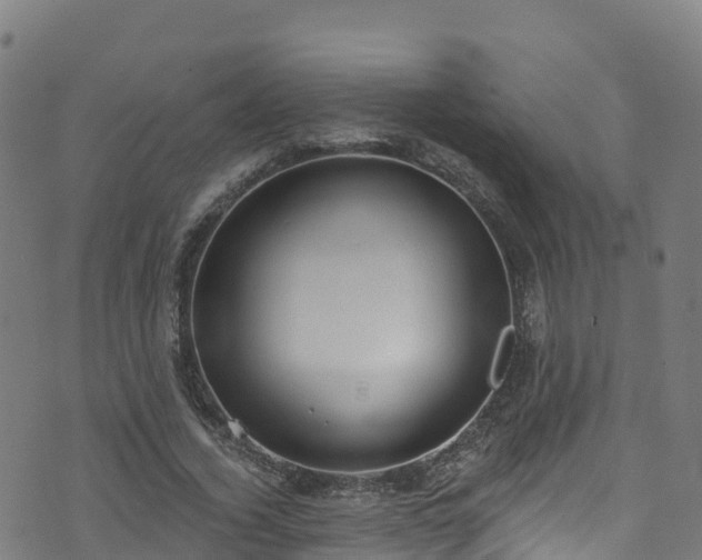 X0000070880732200606231342