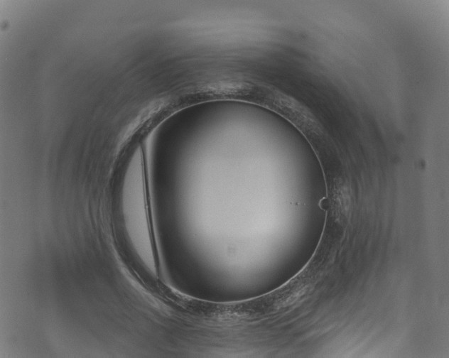 X0000070880734200606231342