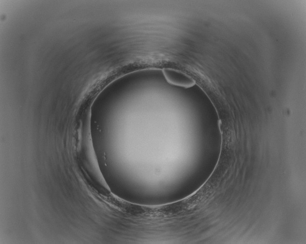 X0000070880736200606231342