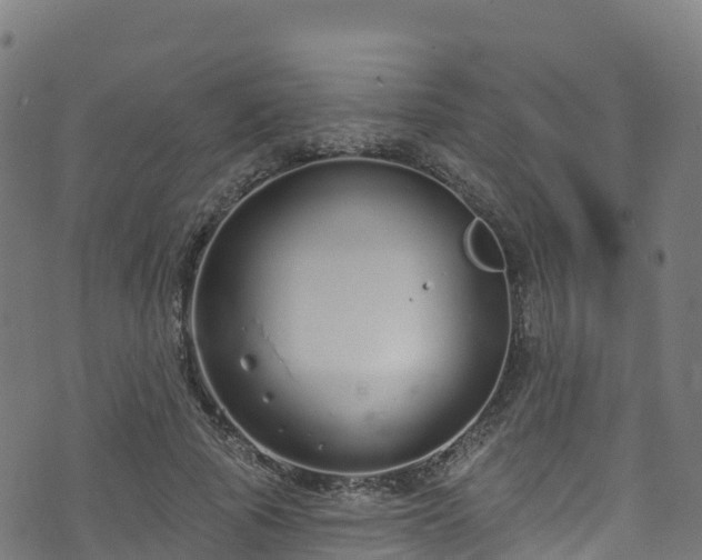 X0000070880737200606231342