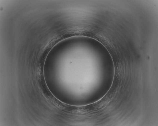 X0000070880739200606231342