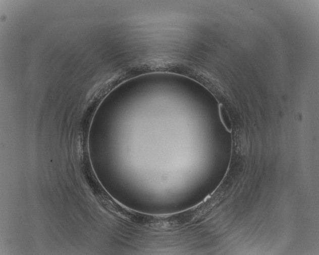 X0000070880740200606231342