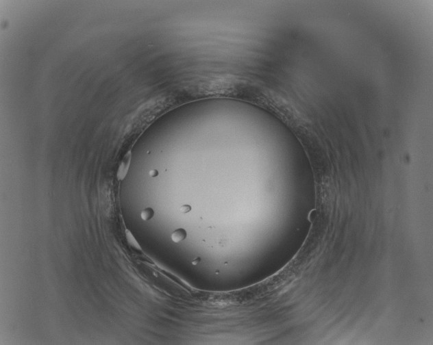 X0000070880741200606231342