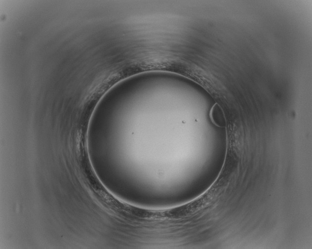 X0000070880742200606231342