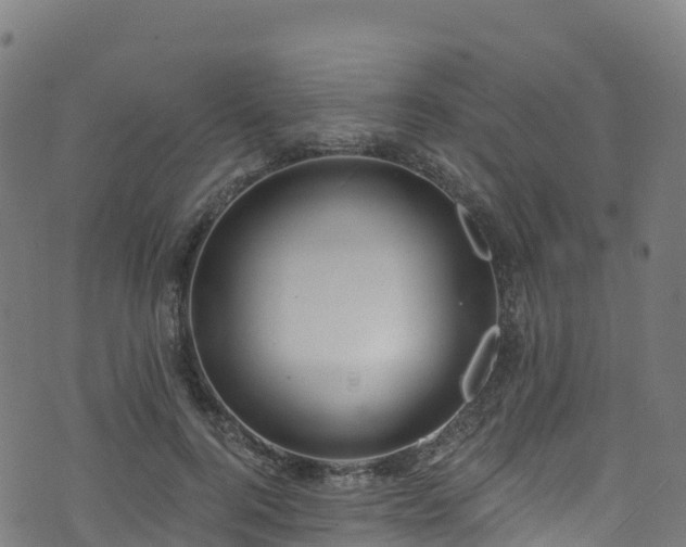 X0000070880744200606231342