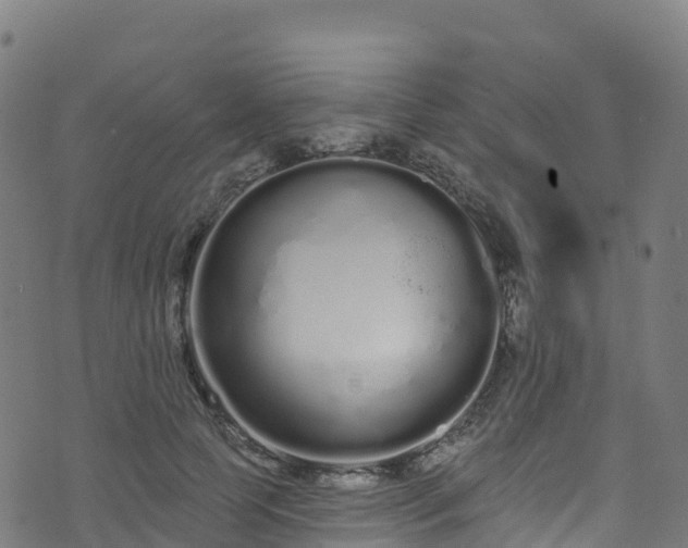 X0000070880745200606231342