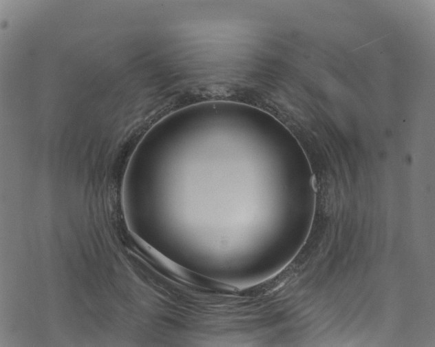 X0000070880747200606231342