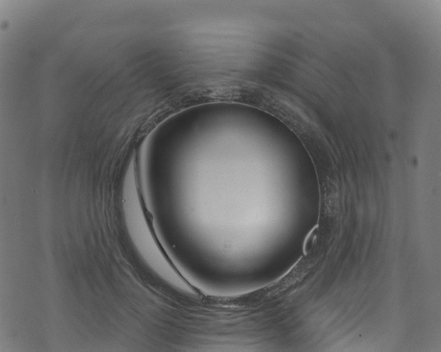 X0000070880748200606231342