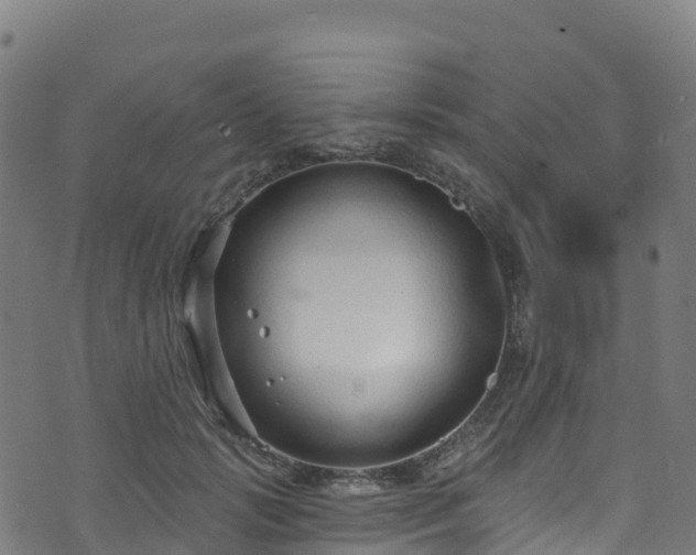 X0000070880749200606231342