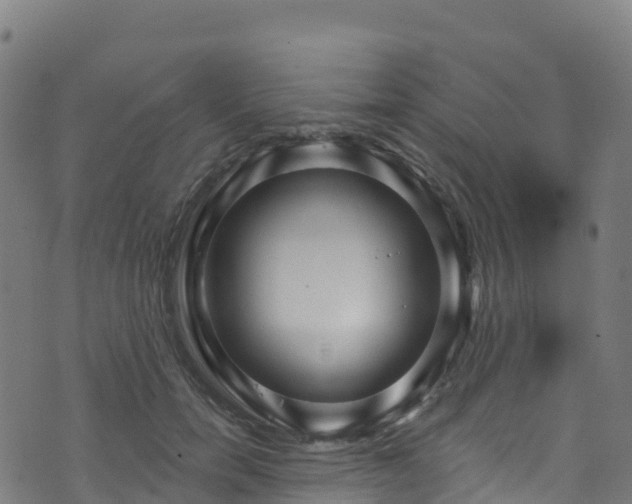 X0000070880750200606231342