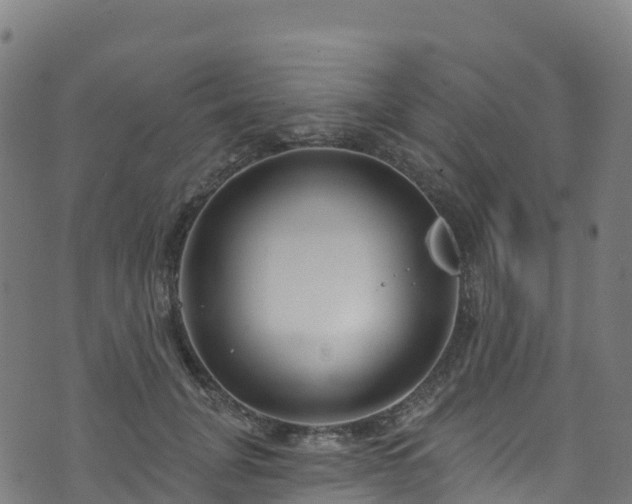 X0000070880751200606231342